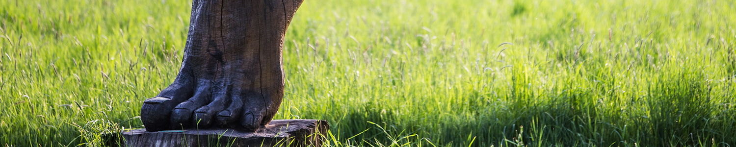 Freizeitpark in der Lüneburger Heide Freizeitpark in der Lüneburger Heide